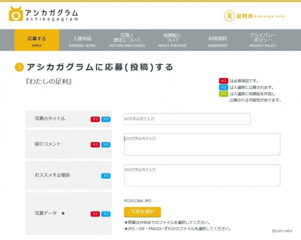 必須事項を入力。1回目の入選者を見るとニックネームの方が多いです。