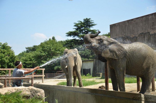 東武動物公園