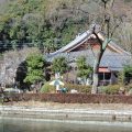 お寺で屋台のコーヒー店！？山川長林寺にある「寺カフェ」