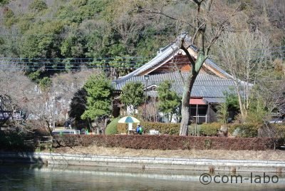 お寺で屋台のコーヒー店！？山川長林寺にある「寺カフェ」