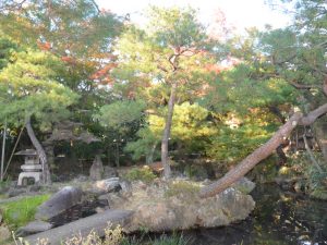 織物の模様のような石がある名勝地。足利市にある「物外軒(ぶつがいけん)庭園」