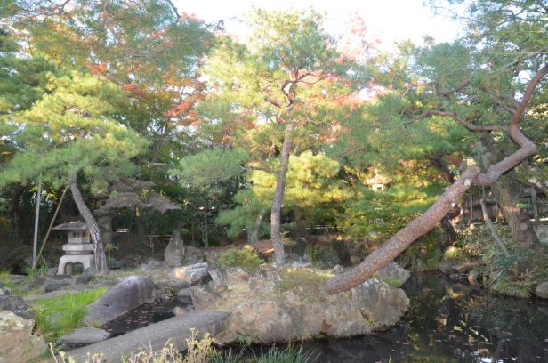 織物の模様のような石がある名勝地。足利市にある「物外軒(ぶつがいけん)庭園」