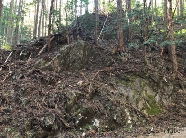 道の両脇の岩盤には、杉の木の根が食い込み根付いている。