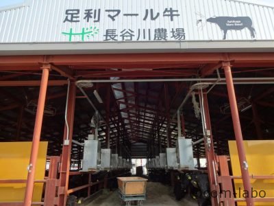 都内のレストランでも使われる、長谷川農場の「足利マール牛」
