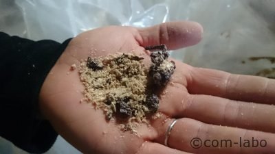 餌用に改良されたマール。正式名称はラクレージマール。
